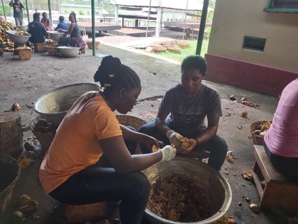 img 20250818 wa0030