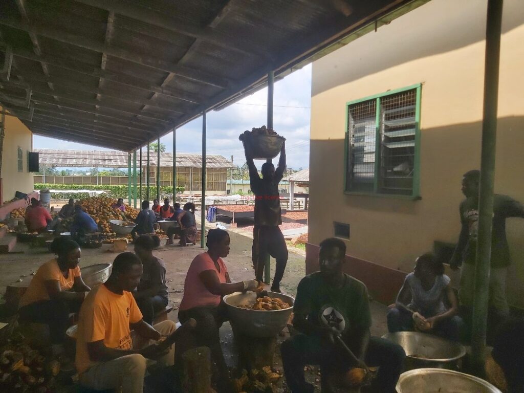 img 20250818 wa0036